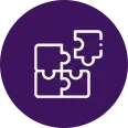 icon-puzzle